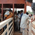 Batendo o ponto: "Isso aqui parece um curral", gritou uma trabalhadora